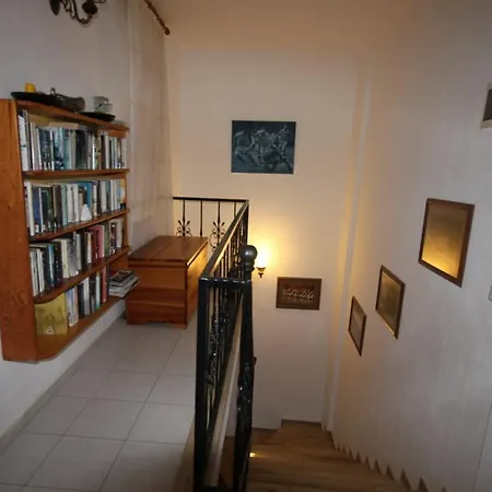 Pamuk Tarlasi * Dalyan